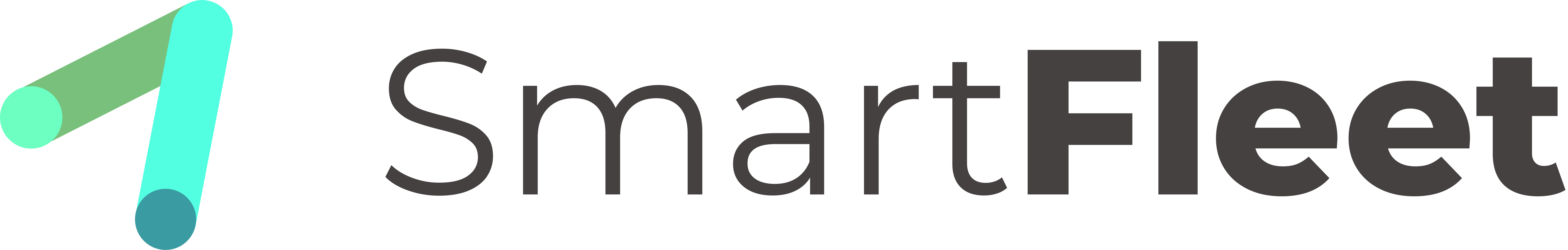 Logo SmartFleet v referencích